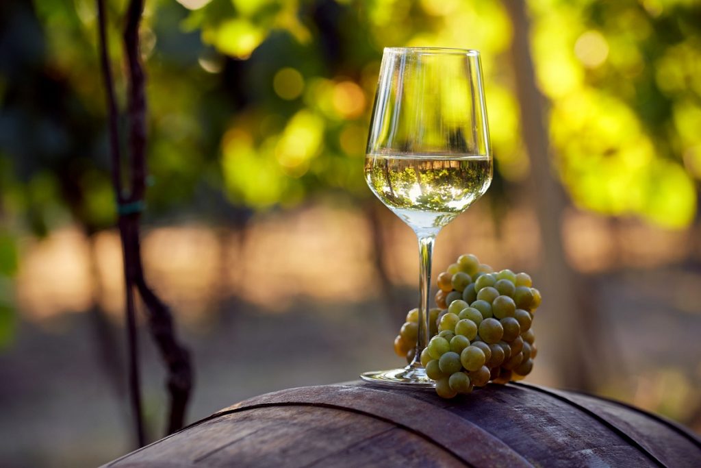 migliori vini abruzzesi bianchi trebbiano