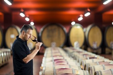 vini rossi dell'alto adige