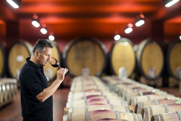 vini rossi dell'alto adige