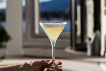 pisco sour cocktail