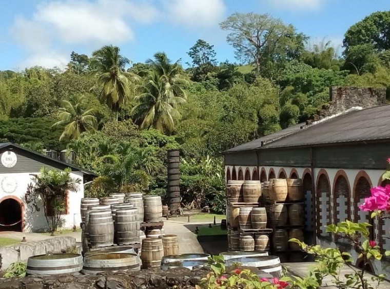 HSE - Habitation Saint-Etienne cantina 2