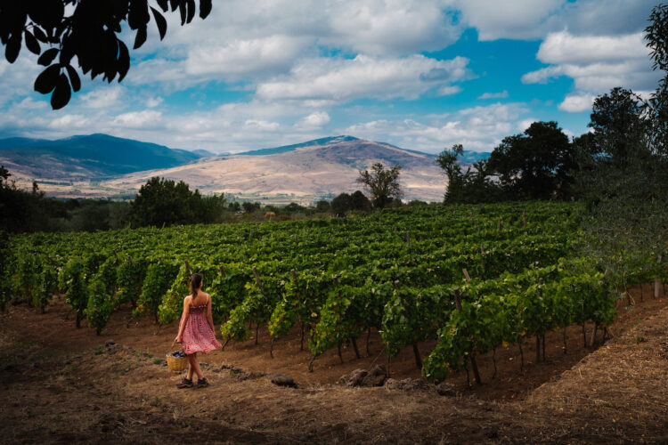 vini rosati etna doc