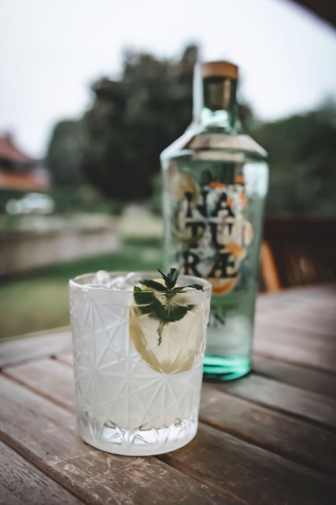 tom collins cocktail