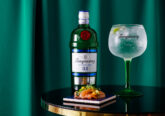 gin tonic analcolico