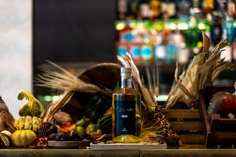 gin cotoliamo hilton milano